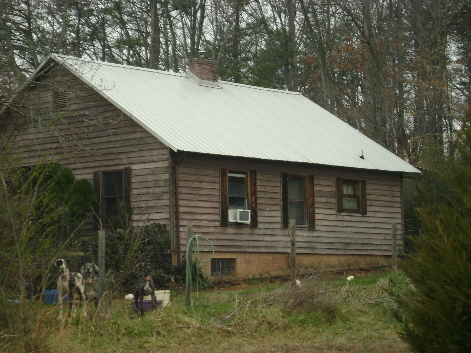 White metal roof on an old wood sided farmhouse, from a Asphalt Shingle Roof Repair job in East Weymouth